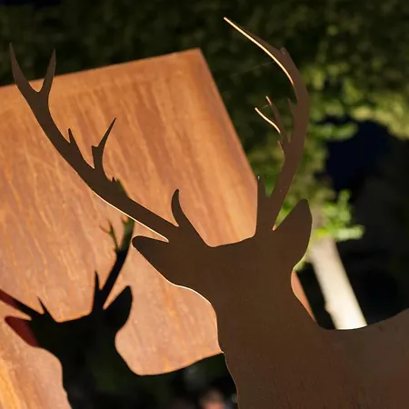 Schoenbuch 4* Pliezhausen