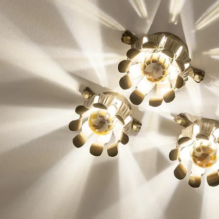 Schoenbuch Pliezhausen